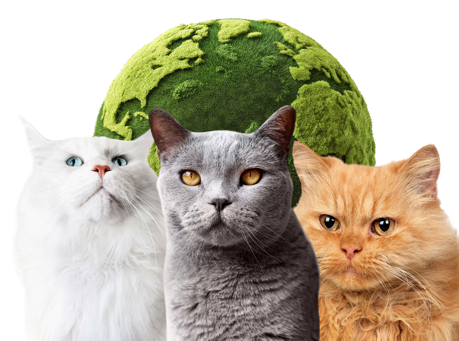 Öko Katzenstreu aus natürlichen Rohstoffen